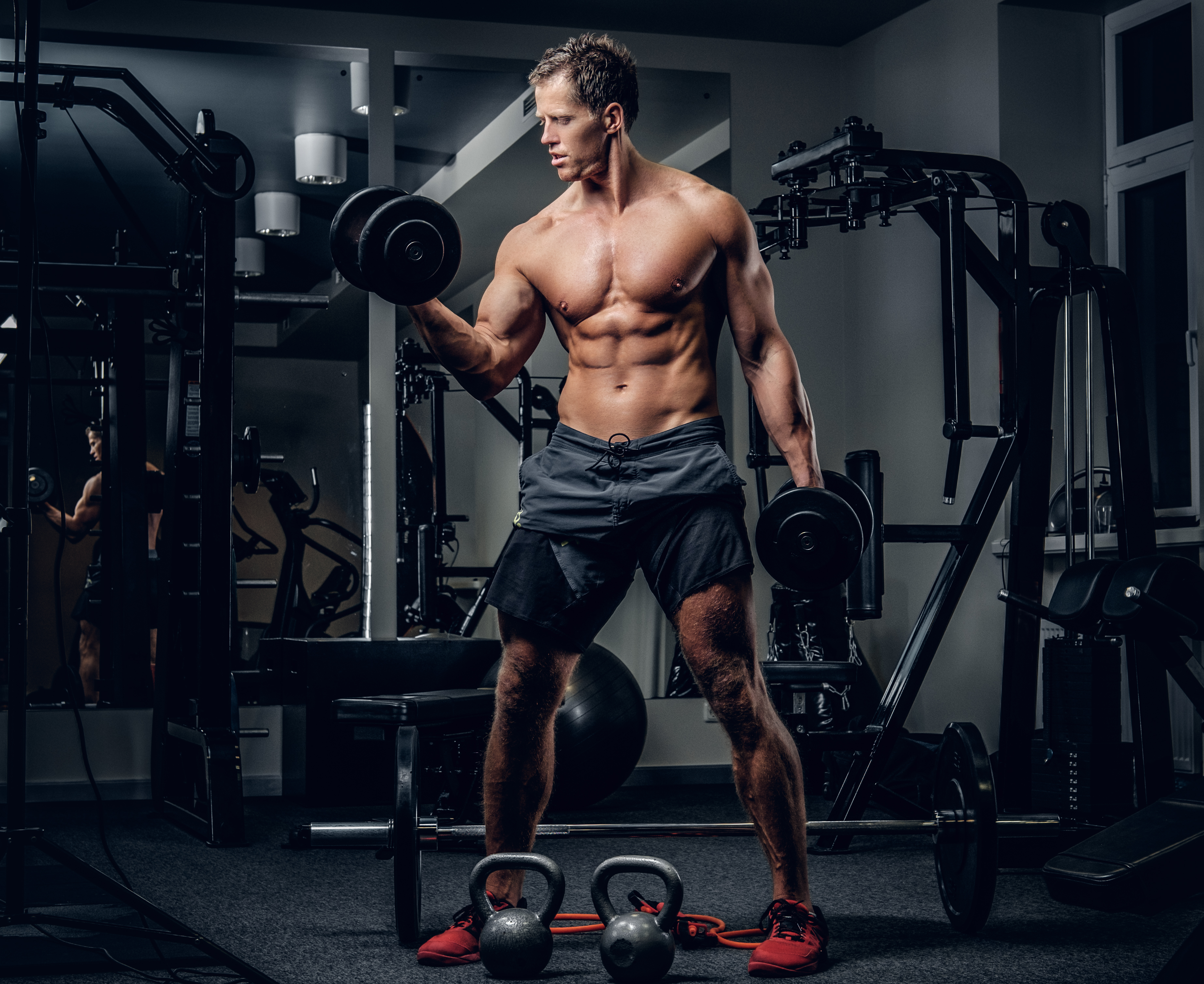WHYGYM Trainer